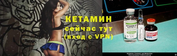 прущие грибы Володарск