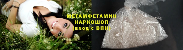 прущие грибы Володарск