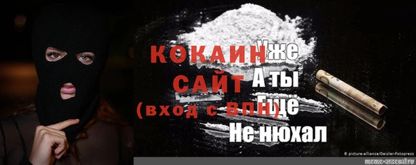 прущие грибы Володарск