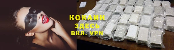 прущие грибы Володарск