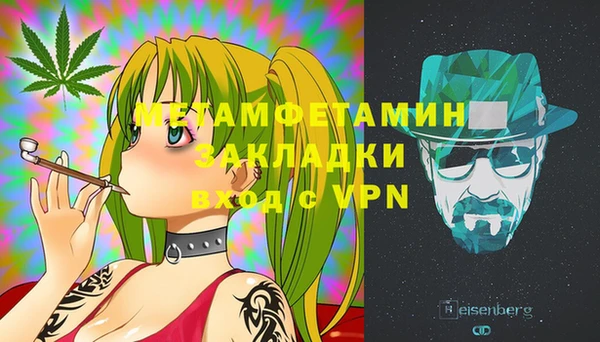 гидра Кодинск