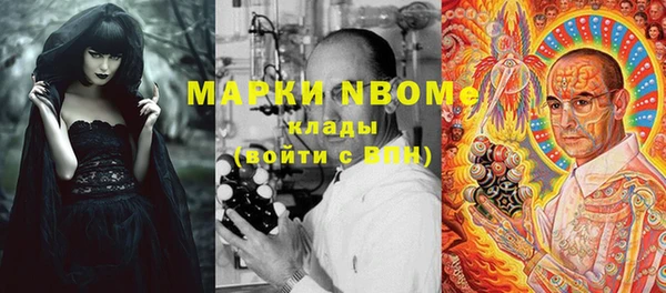 прущие грибы Володарск