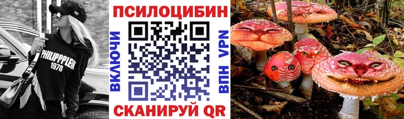 купить закладку  Инсар  mega tor  площадка как зайти  Галлюциногенные грибы GOLDEN TEACHER 